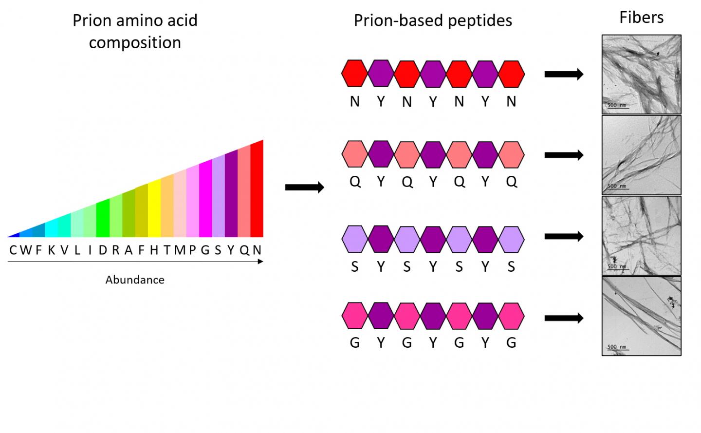 Minimalist Biostructures Designed to Create Nanomaterials (1 of 2)