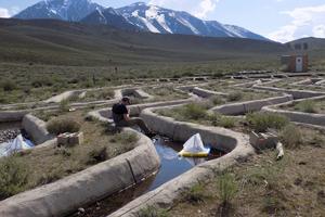 Scientists used artificial stream channels to study the effects of drought on aquatic insects