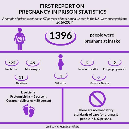 First Report on Pregnancy in Prison Statistics
