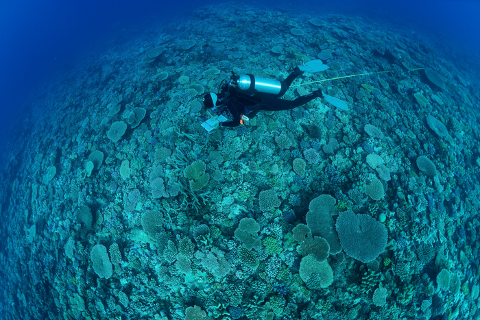 The Khaled bin Sultan Living Oceans Foundation publishes their findings from the Global Reef Expedition—the largest coral reef survey and mapping research mission in history