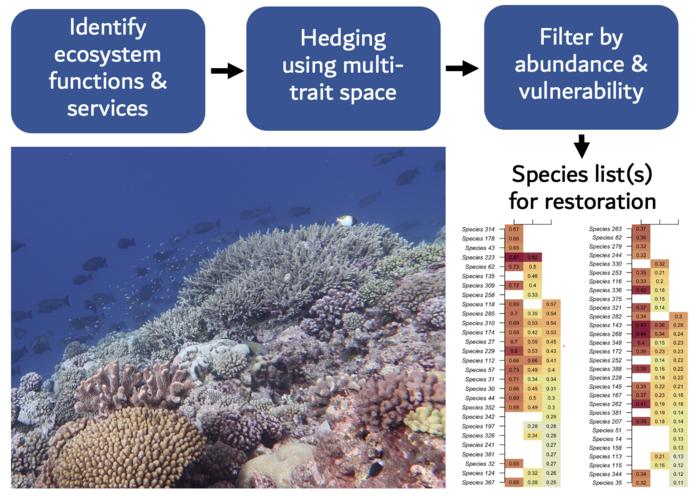 Graphical abstract of the study