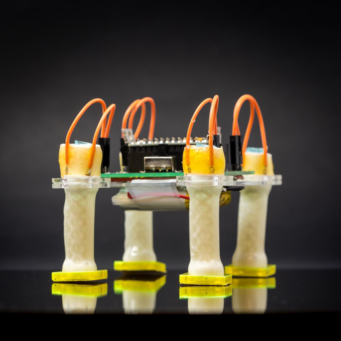 Electrically controlled liquid crystal elasto EurekAlert!