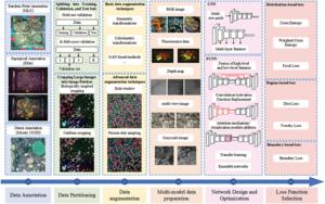 The development trend of coral image segmentation.