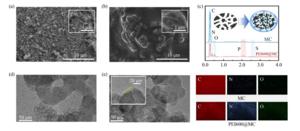 IMAGE: Microcosmic morphology of biomass-derived mesoporous biochar (MC) and core-membrane microstructured polyethyleneimine (PEI)-modified MC.