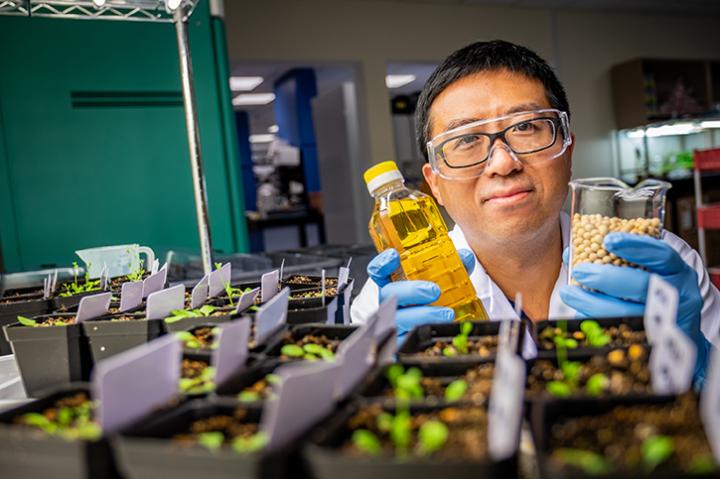 Seeding the Future of Natural Oil Production