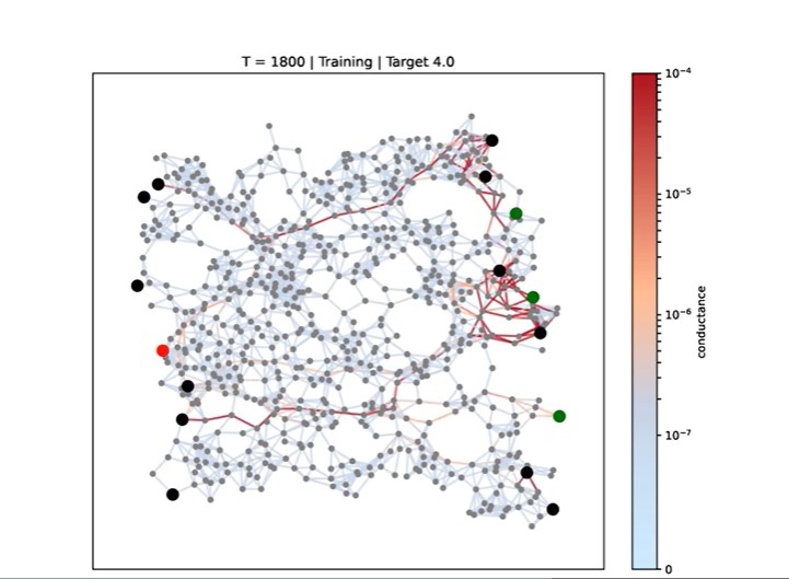 Nanowire network pathways changing and strengthening over time