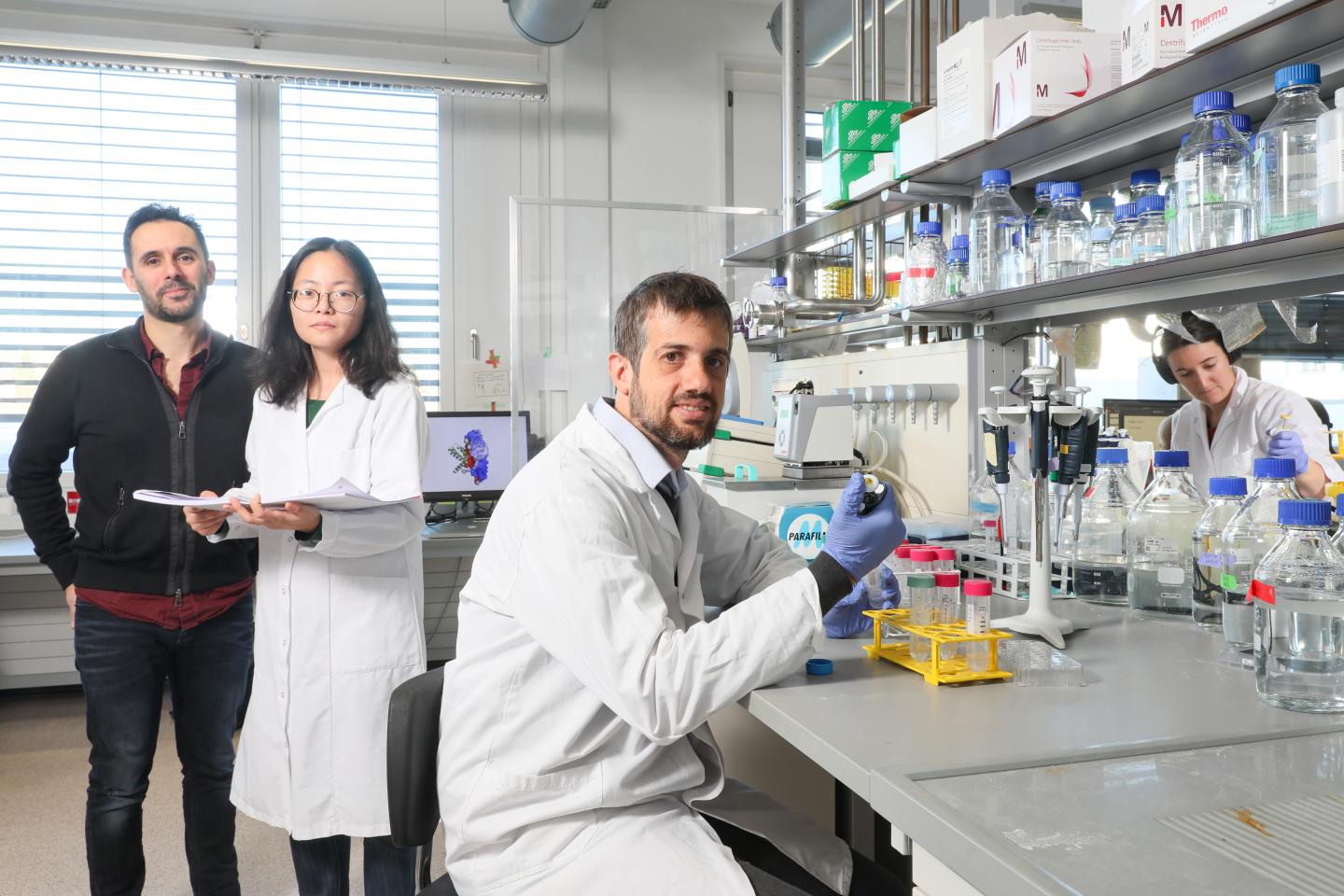 Researchers Working in Their Lab