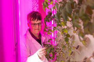 Inside the vertical farm