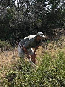 Dr. JoVonn Hill watching grasshoppers in a mass of pencil cactus