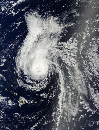 Terra Image of Julio