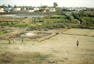 Peri urban Kofar Ruwa, Nigeria
