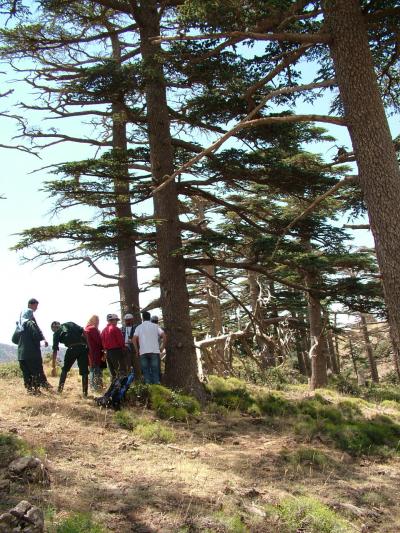 Ramzi Touchan, University of Arizona