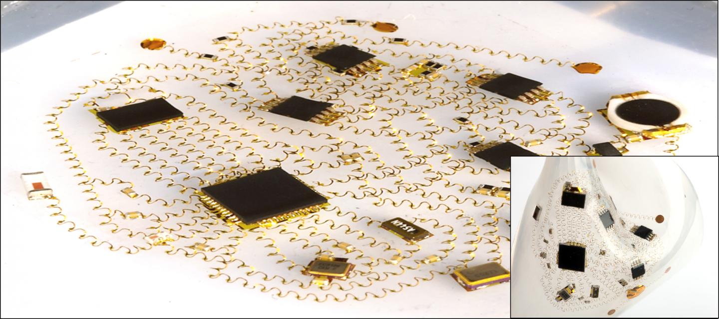 Optical Image of the Soft Electronics