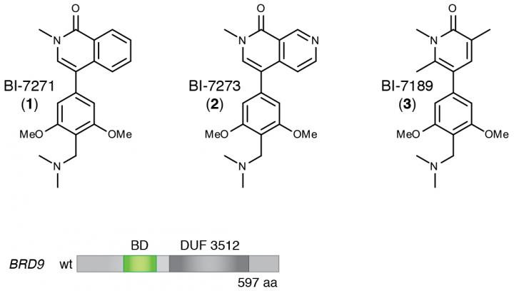 Swappable Binding Sites Reveal a Drug's Target