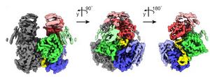 Cryo-EM Reconstruction of RNA-Mediated Stabilization of APOBEC3G-Vif Complex