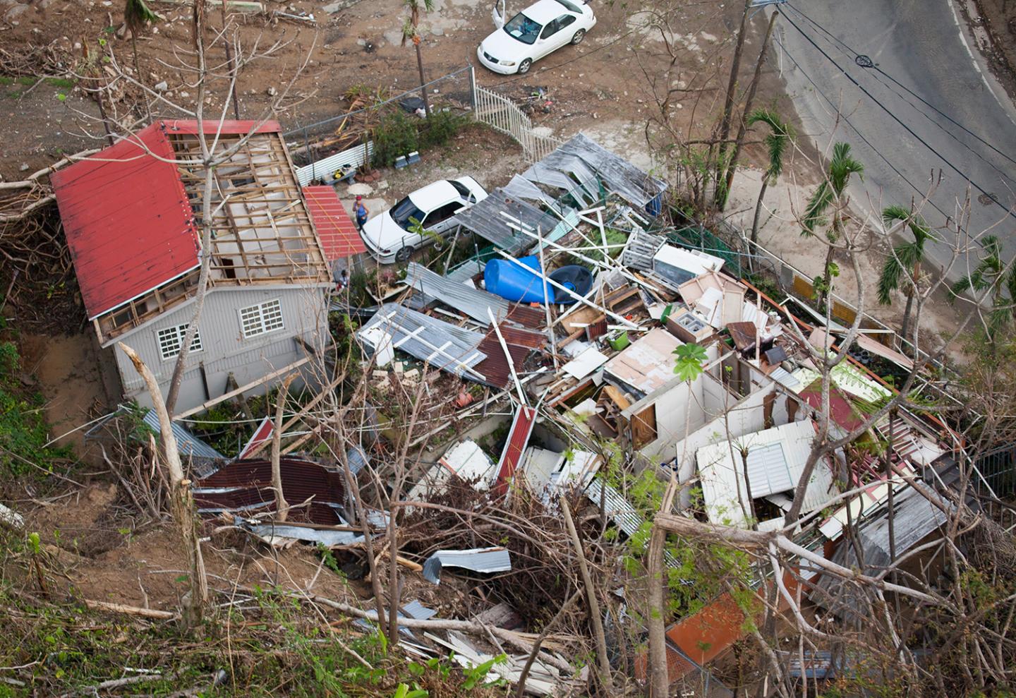 Wind Damage in Puerto Rico from Hurricane Maria