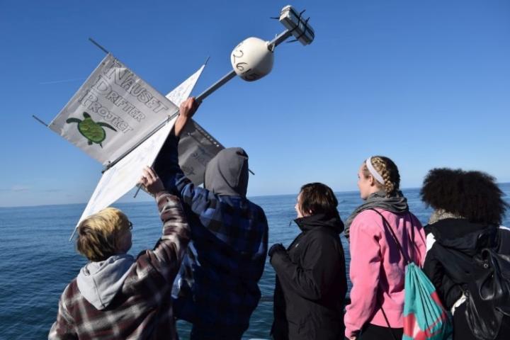 How Do World's Smallest Sea Turtles Become Stranded in Cape Cod?