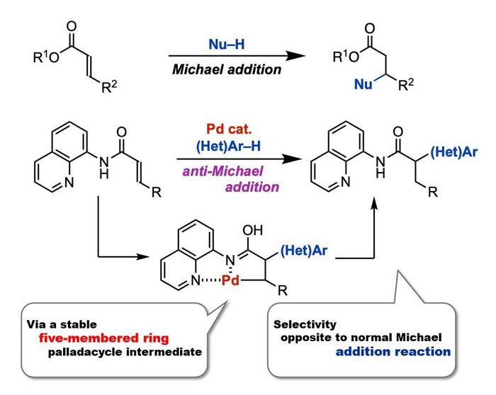 Conventional Michael addition reaction (top) and the anti-Michael addition reaction developed in this study (bottom)