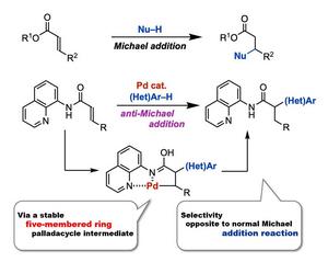 Conventional Michael addition reaction (top) and the anti-Michael addition reaction developed in this study (bottom)