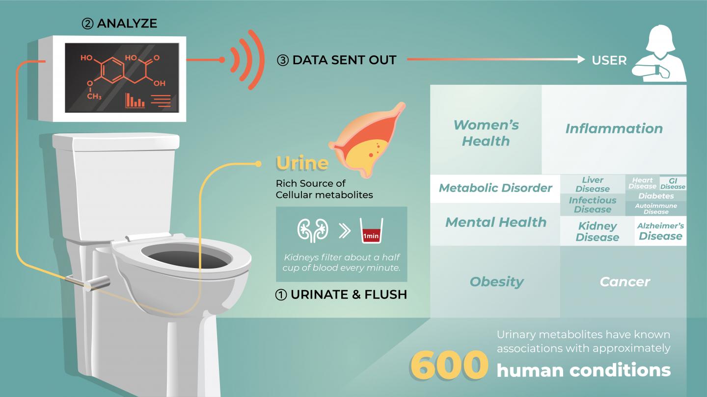 Smart Toilet Graphic