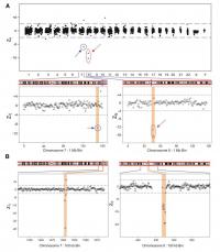 Maternal Plasma Sample BF3404 zij 1 Mb Bin Results across the Genome with a Fetal Karyotype with a Deletion in Chromosome 7