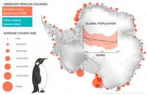 Penguin distribution map