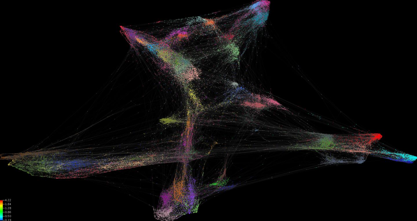 High-Dimensional Analysis of T Cell Signature in People with Bowel Cancer