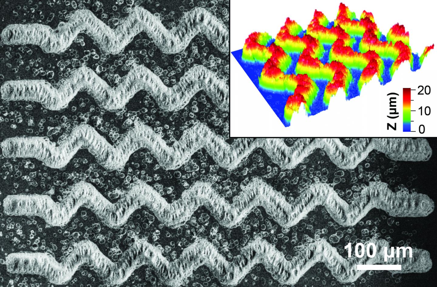 Nanopatterned "Lab-On-A-Chip" Noninvasively Detects Early and Advanced Breast Cancer (1 of 4)