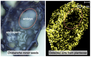 Figure 1. Mass Imaging