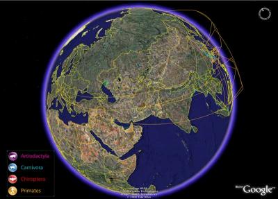 Evolutionary History of SARS Supports Bats As Virus Source