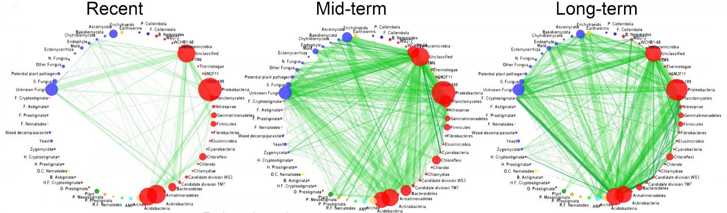 Relationships Grow during Nature Restoration