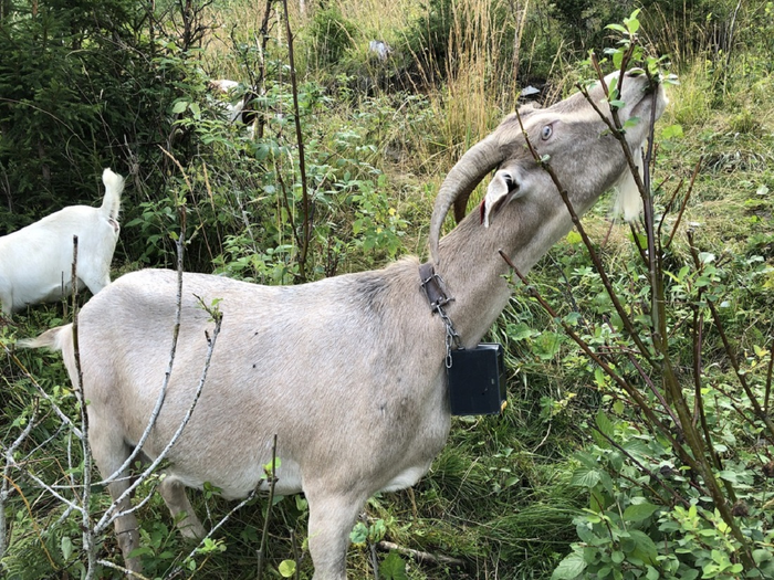 Part-time farmers benefit from new technology