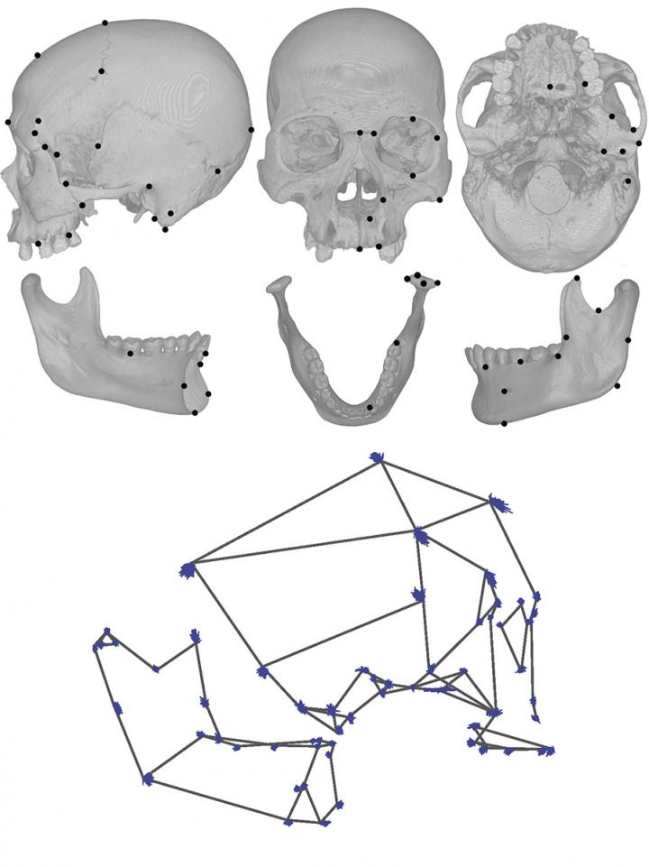 Advent of Farming, Especially Dairy, Affected Human Skull Shape