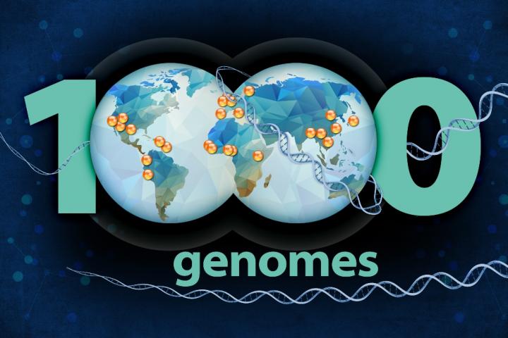 1000 Genomes Project
