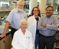 Ghosh Lab Publishes Cancer Breakthrough in Nature
