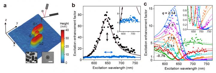 Experimental Demonstration Of Polarization-controlled Fano-shaped Local-field Responses