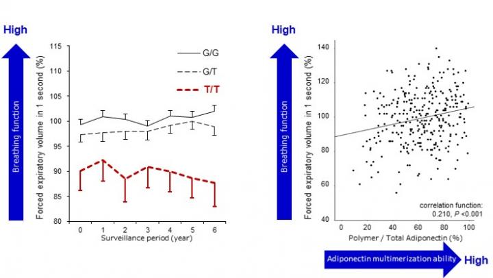 Respiratory Function