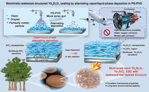 Biomimetic teakwood structured Yb2Si2O7 coating by alternating vapor/liquid-phase deposition in PS-PVD