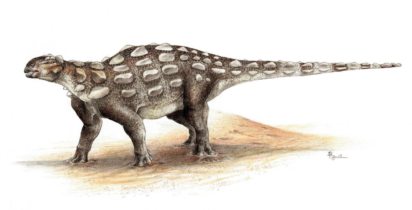 <i>Gobisaurus</i>
