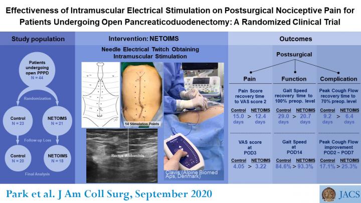 Visual Abstract