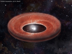 Disc surrounding binary stars