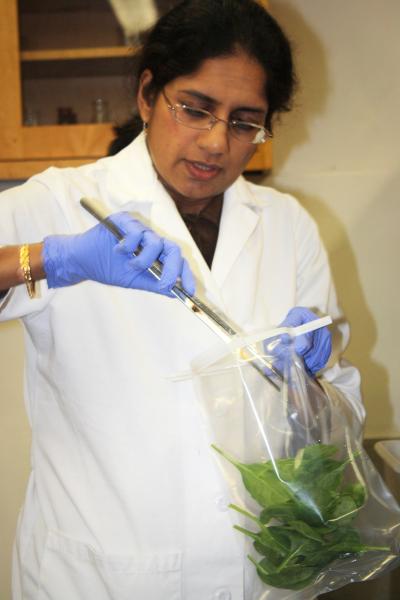 Saghana Ravishankar, University of Arizona