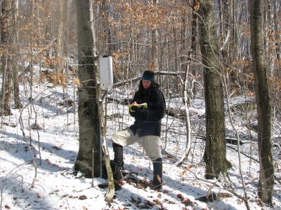 Frost Research at Hubbard Brook Experimental Forest