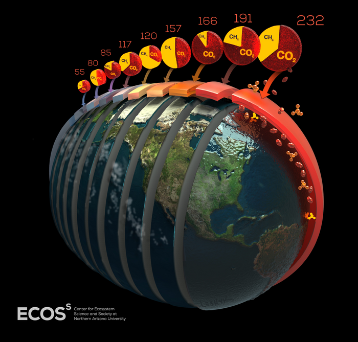 Possible futures for Arctic carbon