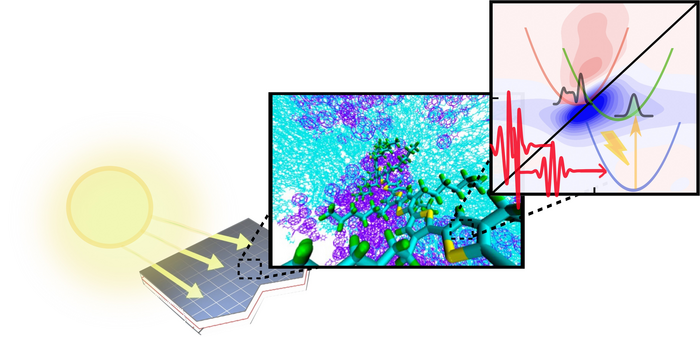 Charge transfer in organic solar cells