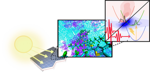 Charge transfer in organic solar cells