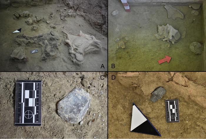 Taguatagua 3: A new late Pleistocene settlement in a highly suitable lacustrine habitat in central Chile (34°S)