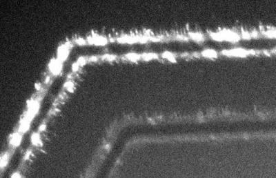Growing Nanowires Horizontally Yields New Benefit: 'Nano-LEDs' (1 of 3)