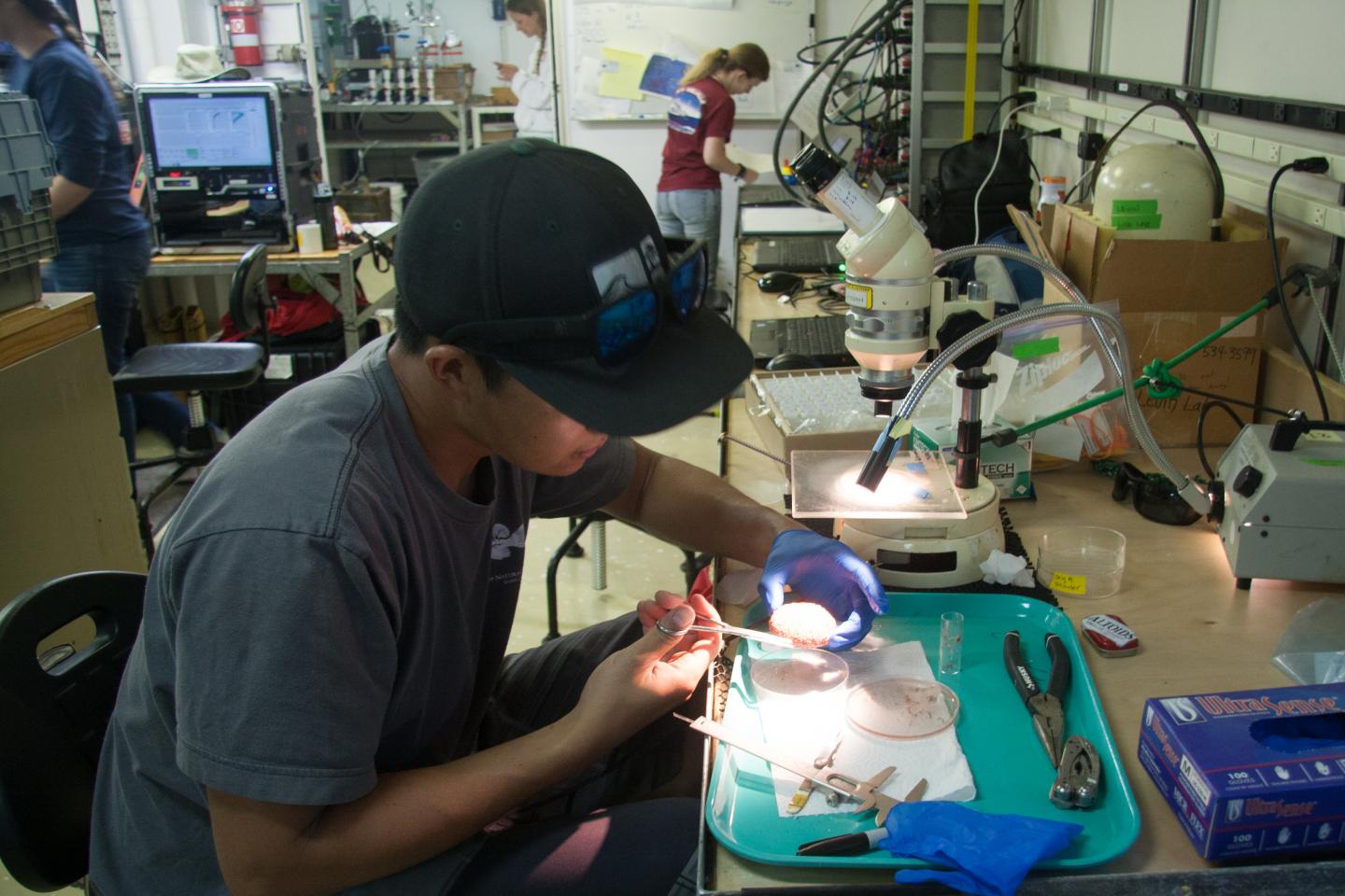 Kirk Sato, University of California - San Diego 