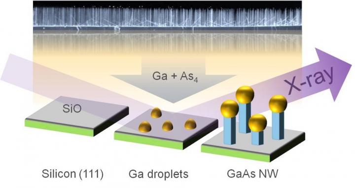 Scientists Observe Nanowires as They Grow